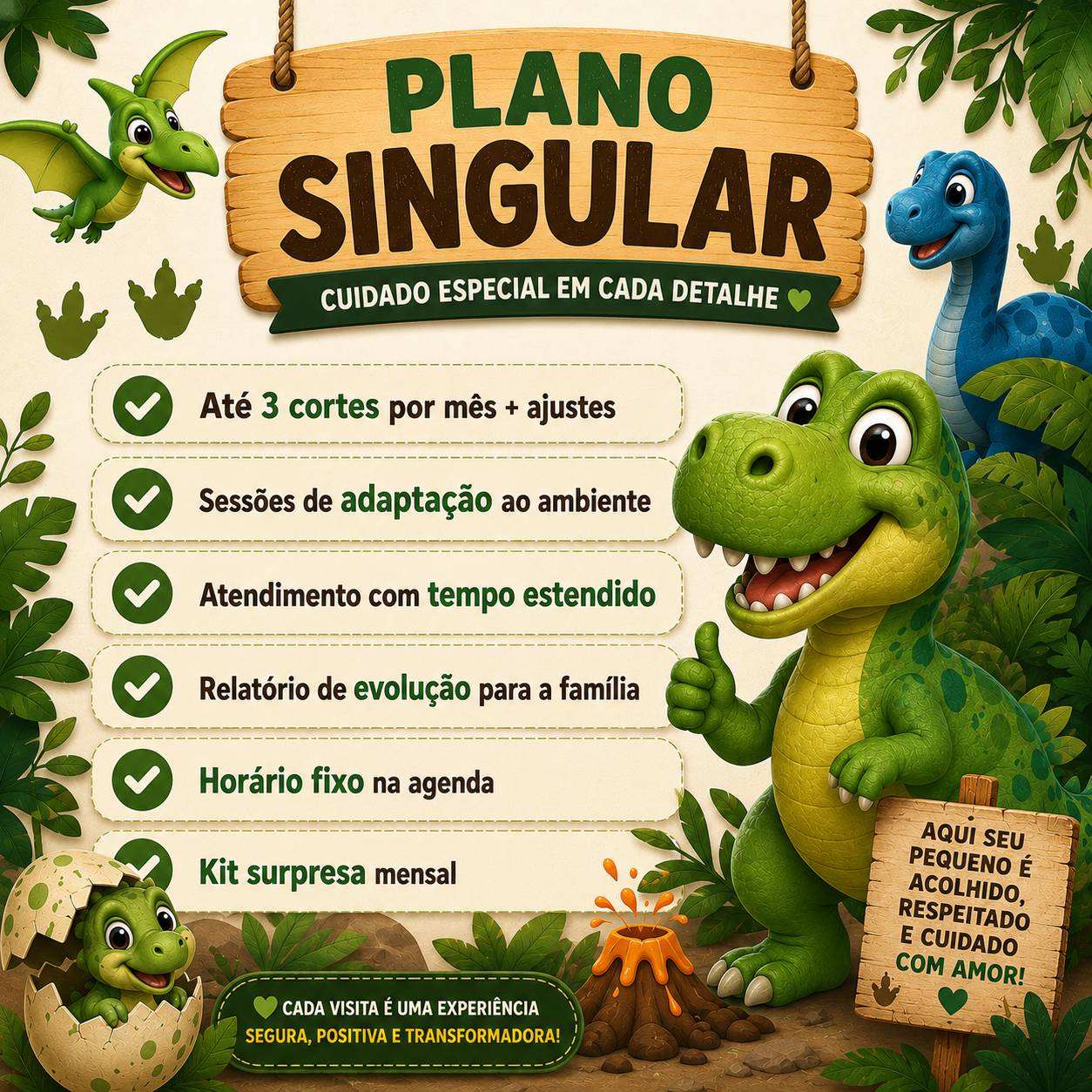 Plano Singular
