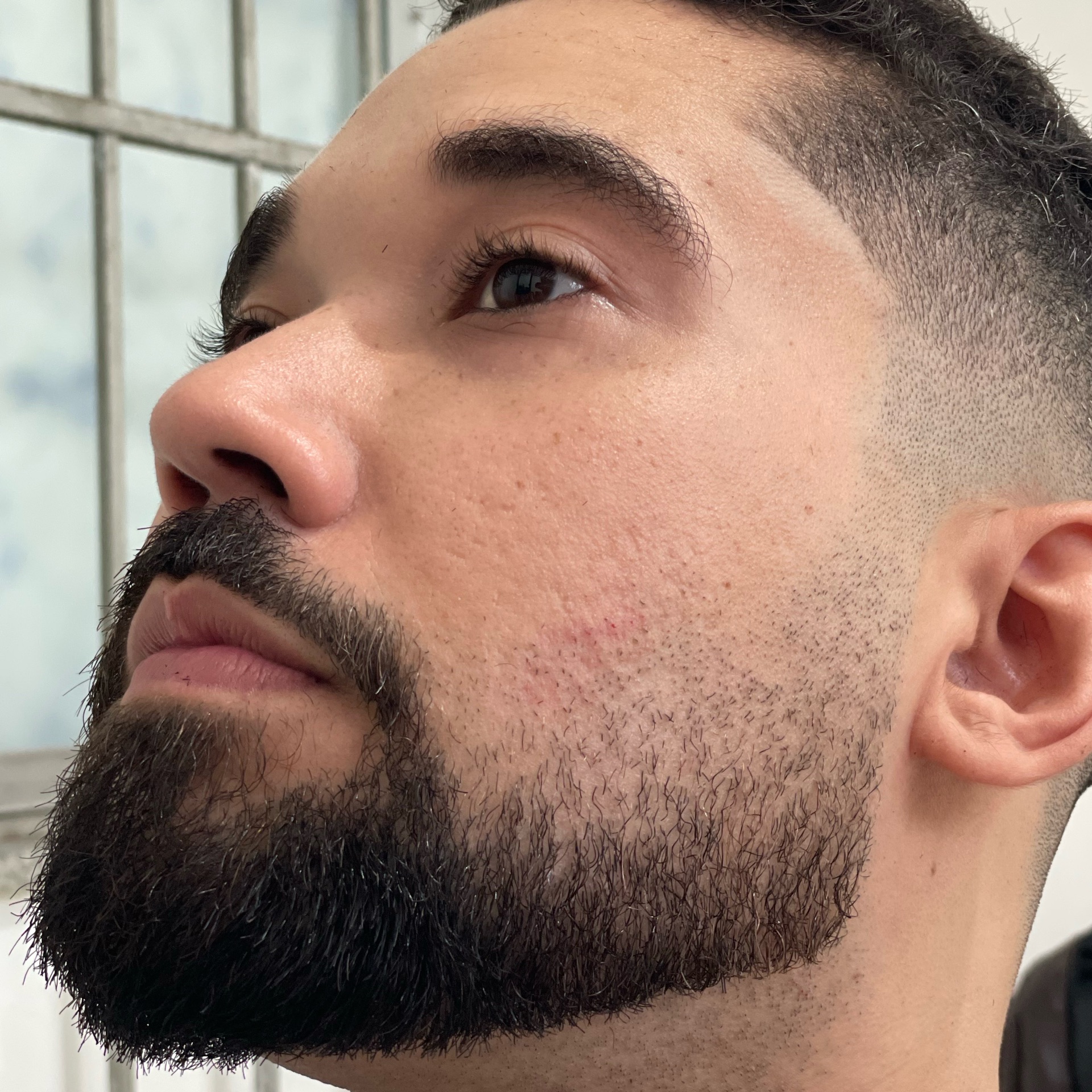 Barba