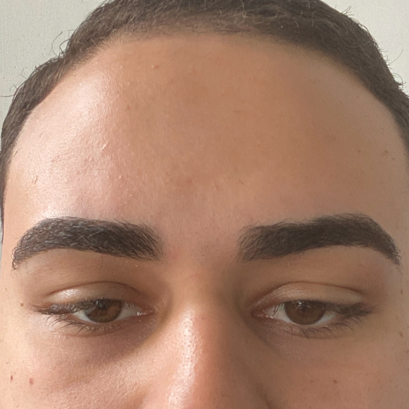 Sobrancelha