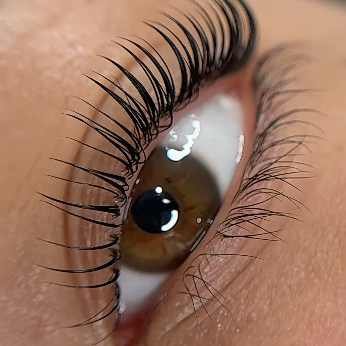 LASH LIFTING