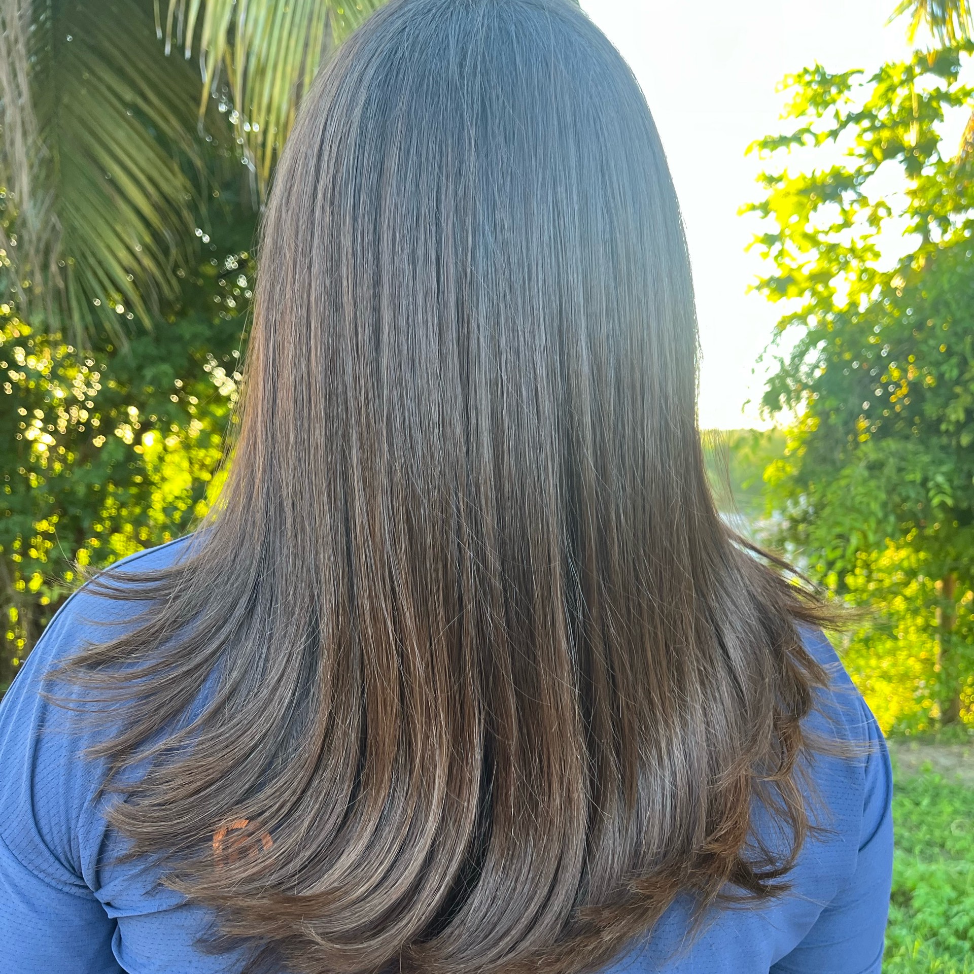 Escova