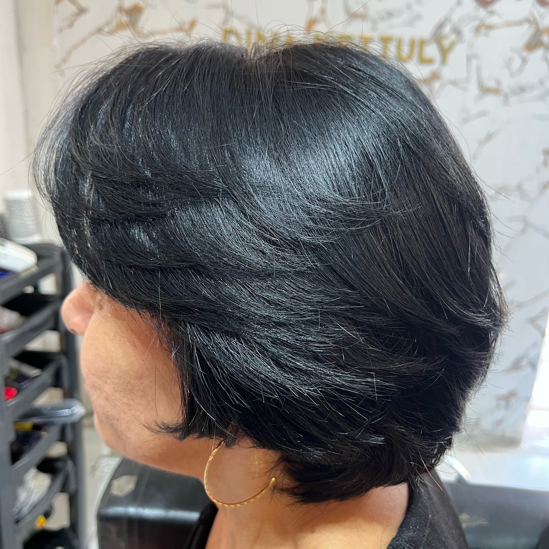 Corte